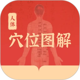人体穴位图解